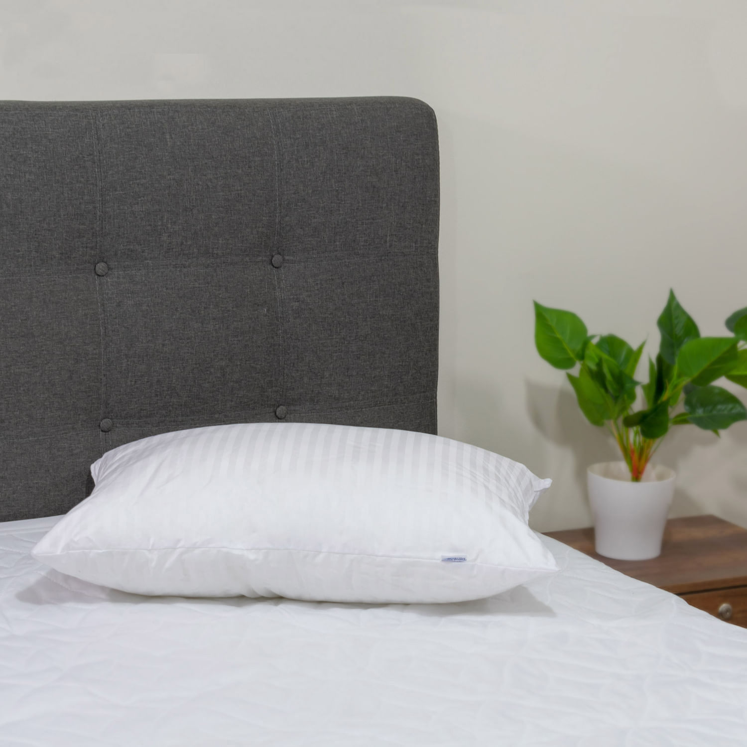 Almohada Natural Soft Duo Pack
