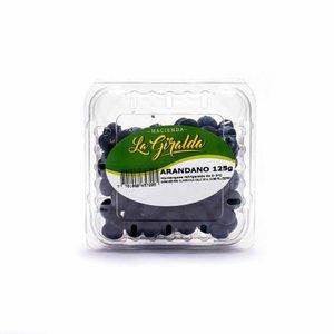 Arándano La Giralda Empacado 125 G