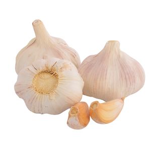 Ajo