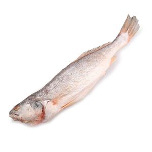 Corvina a Granel X Kg