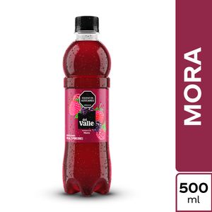 Jugo Del Valle Frutal Mora 500 Ml
