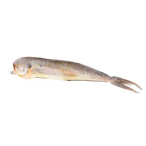 Mahi Mahi/Dorado Entero X Kg