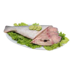 Basa Hgt Premium X Kg