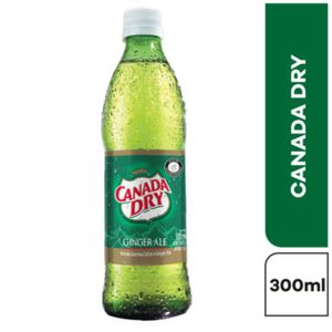 Soda Canada Dry 300 Ml