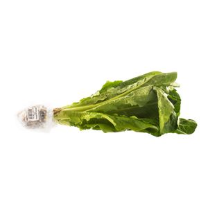 Lechuga Olimpica Romana Hidropónica 180 G