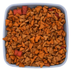 Alimento para Gato Natural Bites A Granel