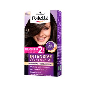 Tinte para cabello PALETTE castaño medio (2 und)
