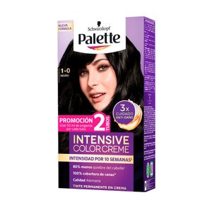 Tinte para cabello PALETTE tono negro (2 und)