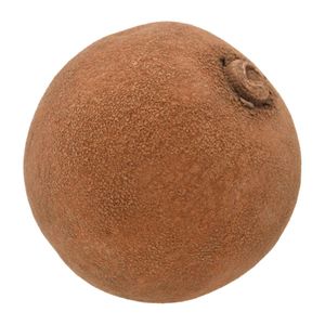 Zapote Costeño