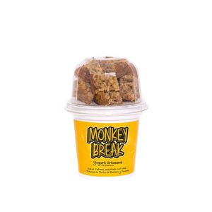 Yogurt Artesanal Monkey Break 210 G