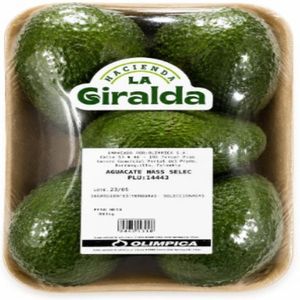 Aguacate Hacienda La Giralda Hass Selecto