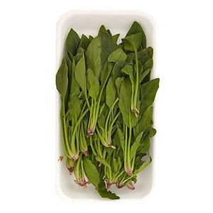 ESPINACA FRESCOCAMPO BABY BDJA 180g