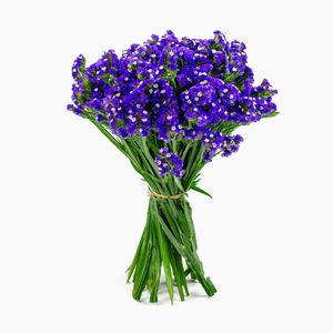 Flores Naturales Statice X10 Tallos.