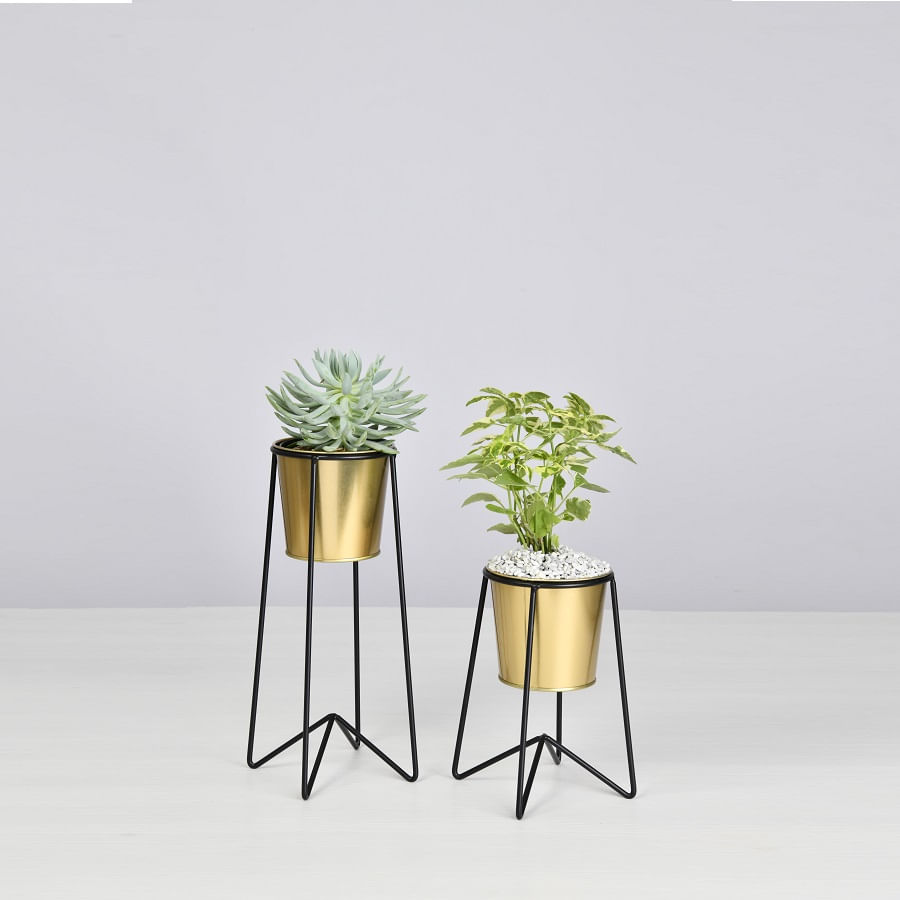 compra materas jarrones floreros con