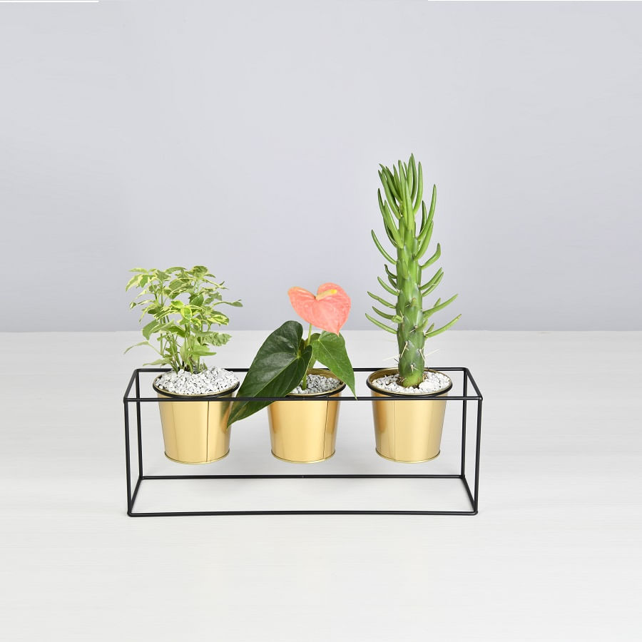 compra materas jarrones floreros con