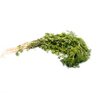 Cilantro Fresco 50 G