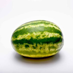Patilla Blanca X Kg