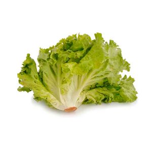 Lechuga FrescoCampo Kosher Hidropónica 200 G