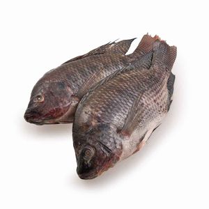 Mojarra Tilapia X Kg