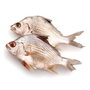 Mojarra Blanca Extra X Kg
