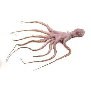 Pulpo Granel X Kg