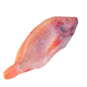 Mojarra Roja Empacado X Kg