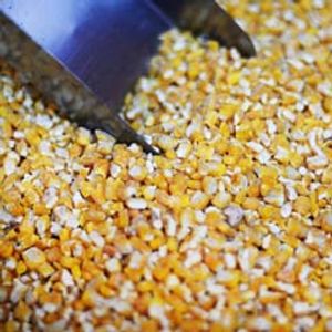 Maíz Pilado Amarillo a Granel