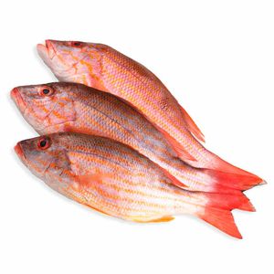 Pargo Rojo Platero X Kg