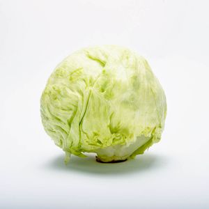 Lechuga Batavia Económica X Kg
