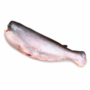 Basa Entera sin Cabeza X Kg