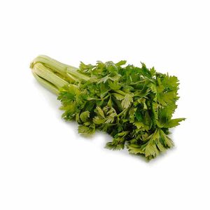 Apio Hacienda La Giralda Tallo 400 G