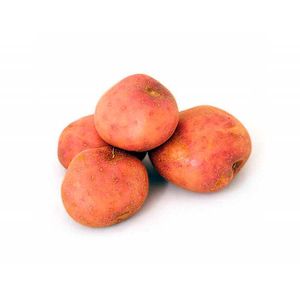 Papa Olimpica R12 2,5 Kg