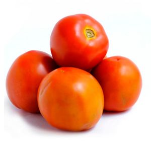 Tomate Chonto 1,5 Kg