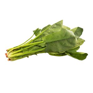 Espinaca Criolla