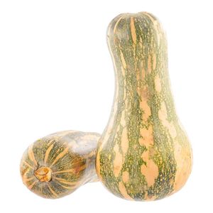 Ahuyama Zapallo Peruana