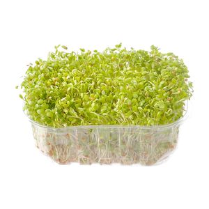 Alfalfa Olimpica Estuche 80 G