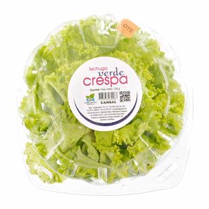 Lechuga Camsal Verde Crespa 120 G
