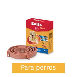 Collar Bolfo para Perro Und