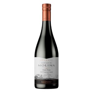 Vino Tinto Castillo de Molina Pinot Noir 750 Ml