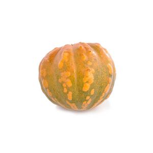 Ahuyama Zapallo Común
