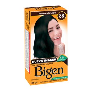 Tinte Bigen Negro Azulado 88 6 G